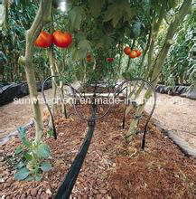Most Popular Irrigation Drip Tape with Good Quality/Irrigation Drip Hose / Drip Pipe