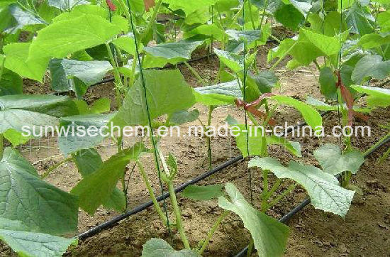 Factory Price New Package Drip Pipe/Drip Hose Agriculture Drip Irrigation System