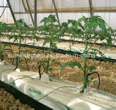 Most Popular Irrigation Drip Tape with Good Quality/Irrigation Drip Hose / Drip Pipe