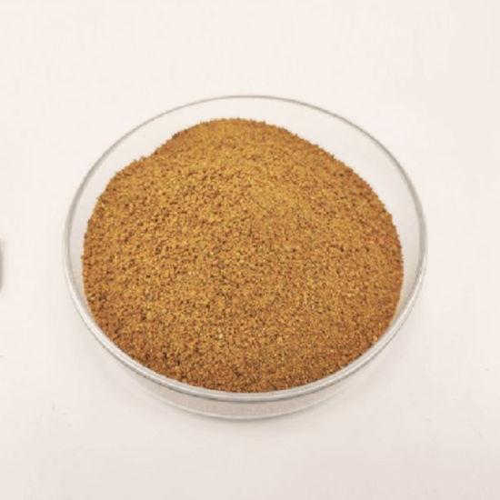 High Quality Corn Gluten Meal for Feed Additives CAS 66071-96-3