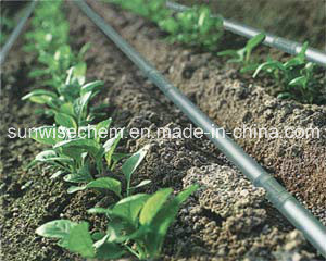 Factory Price New Package Drip Pipe/Drip Hose Agriculture Drip Irrigation System